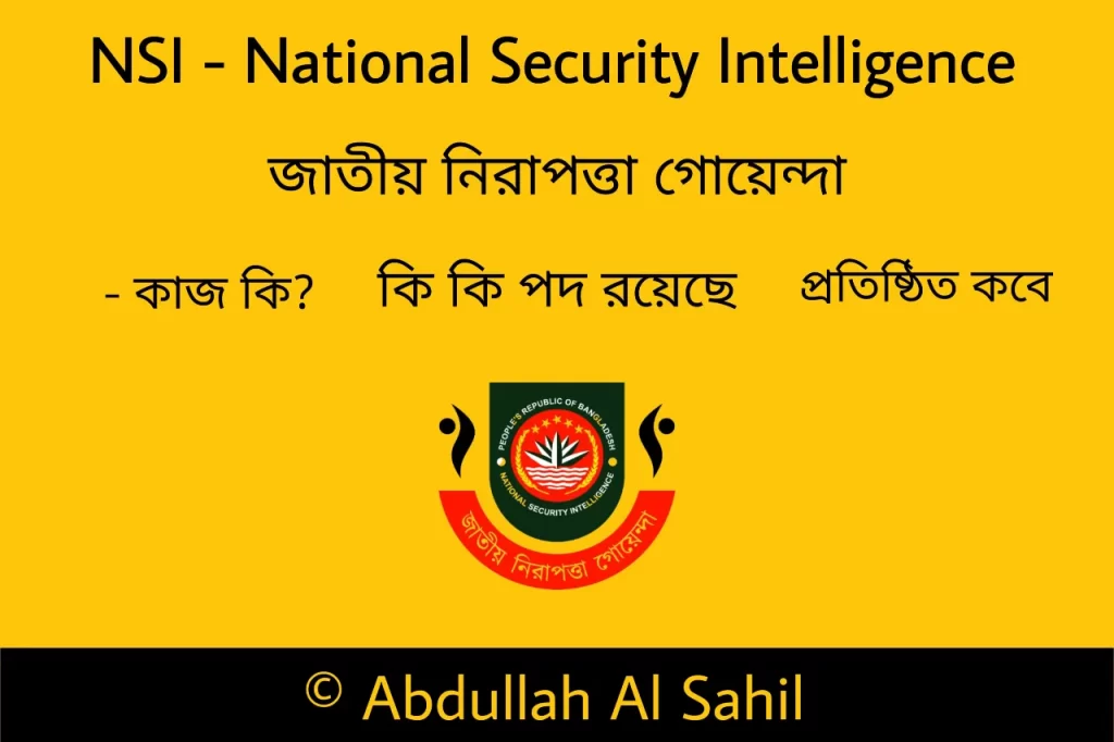 NSI কী? NSI কাজ কী? NSI কি কি পদ রয়েছে?
